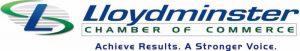 Lloydminster Computer Services