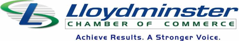 Lloydminster Computer Services
